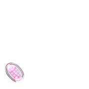 256