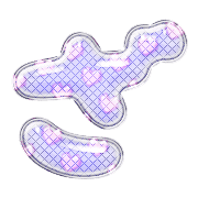 061