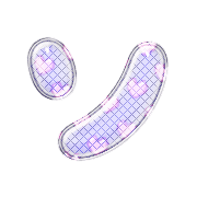 095