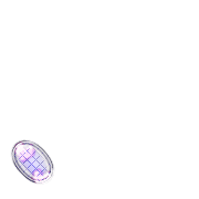 256