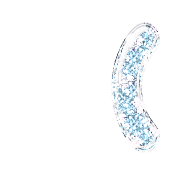 234