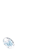 256