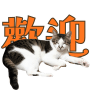 009