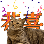010