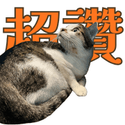 011