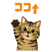 005