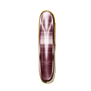 081