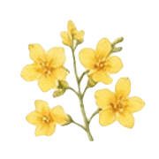 008