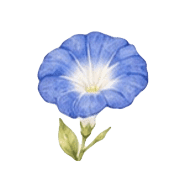 017