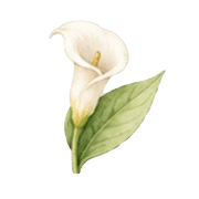 019