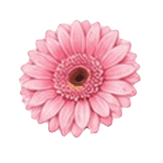 025