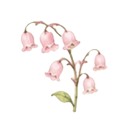 028