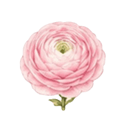029