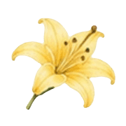 030