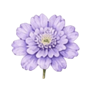 034