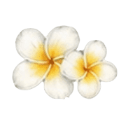 035