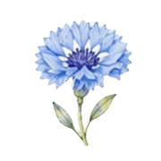 037