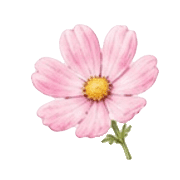 038