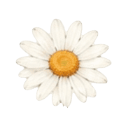 039
