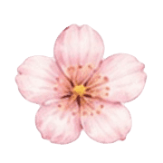 040