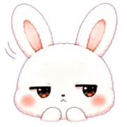 031