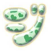 142