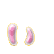 048