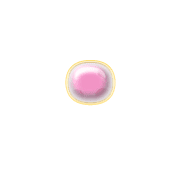 253