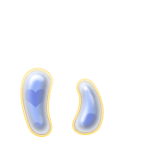 048