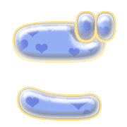 060