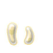 048