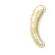 234