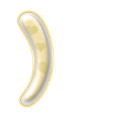 235