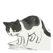 002