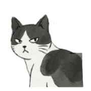 007