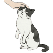 008