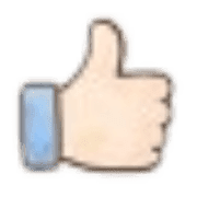 031
