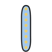 081