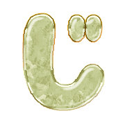 062
