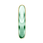081