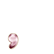 084