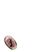 256