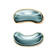 010