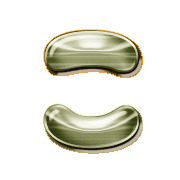 010