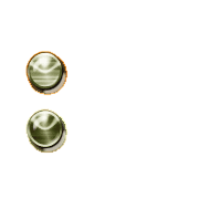 244