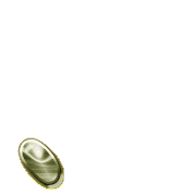 256