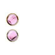 244