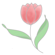 029
