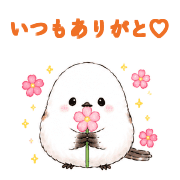 034