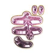 057